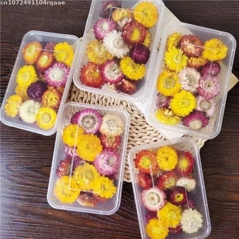 100% натуральные сушеные цветы – обзор и цена Candle Making Material Wholesale