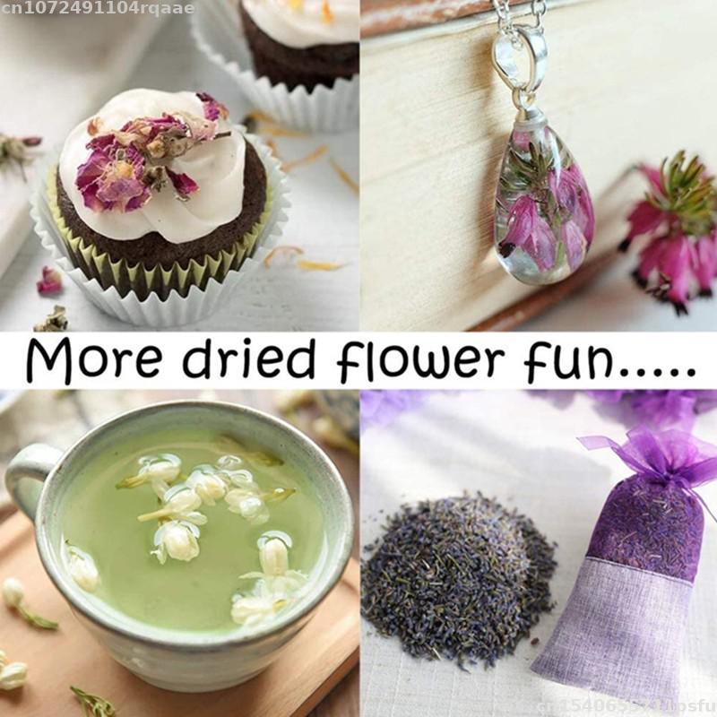 100% натуральные сушеные цветы – обзор и цена Candle Making Material Wholesale